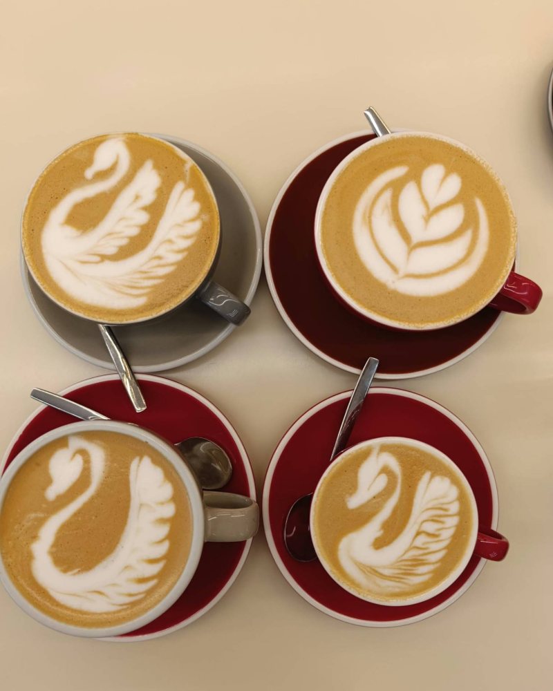 Three swans and a rosetta in latte art cups on a table