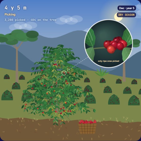 The Coffee Tree studio: a coffee tree growing on a hillside